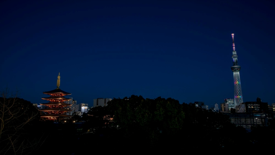 【一部客室からの眺め(夜間】