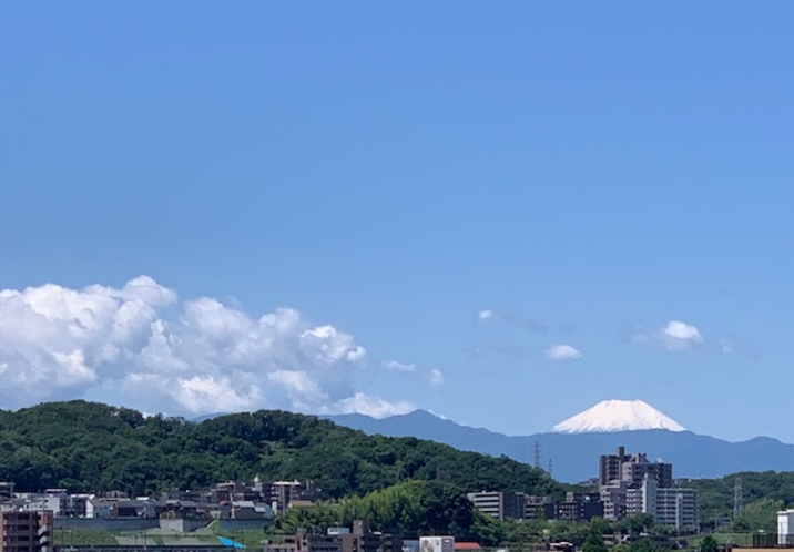 ホテルから見える富士山