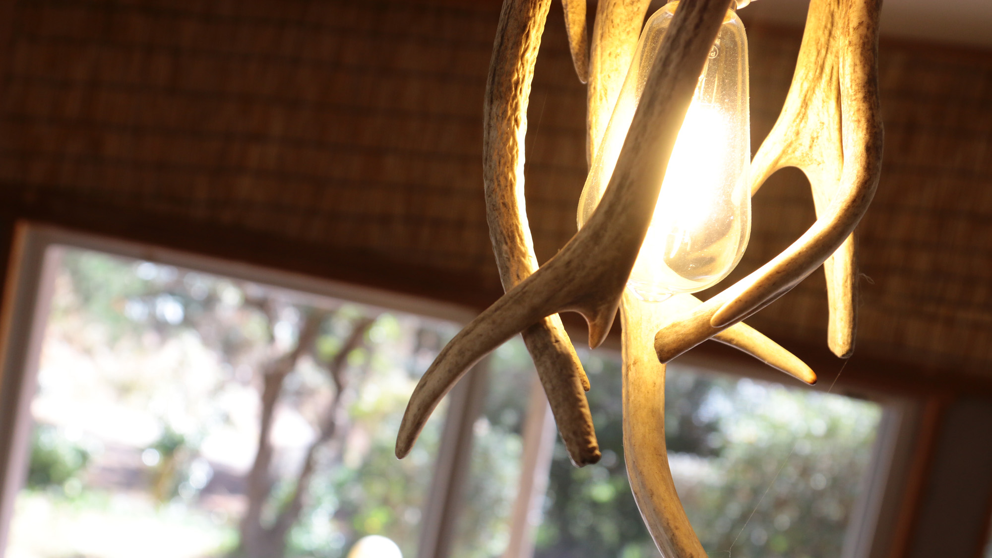 離れ_リビング照明_リビング照明はおしゃれな鹿の角でできたオリジナル照明*