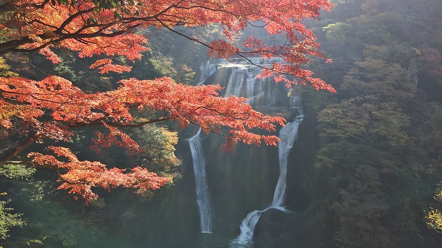 *【袋田の滝】当館よりお車で約15分。例年11月上旬～中旬に紅葉は見頃を迎えます。