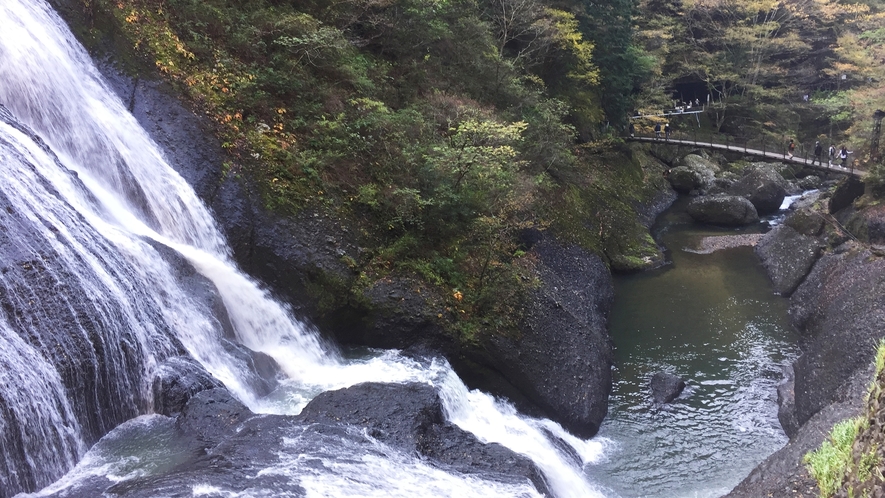 *【袋田の滝】吊橋の上から少し離れてみる滝もまた素晴らしい景色です。