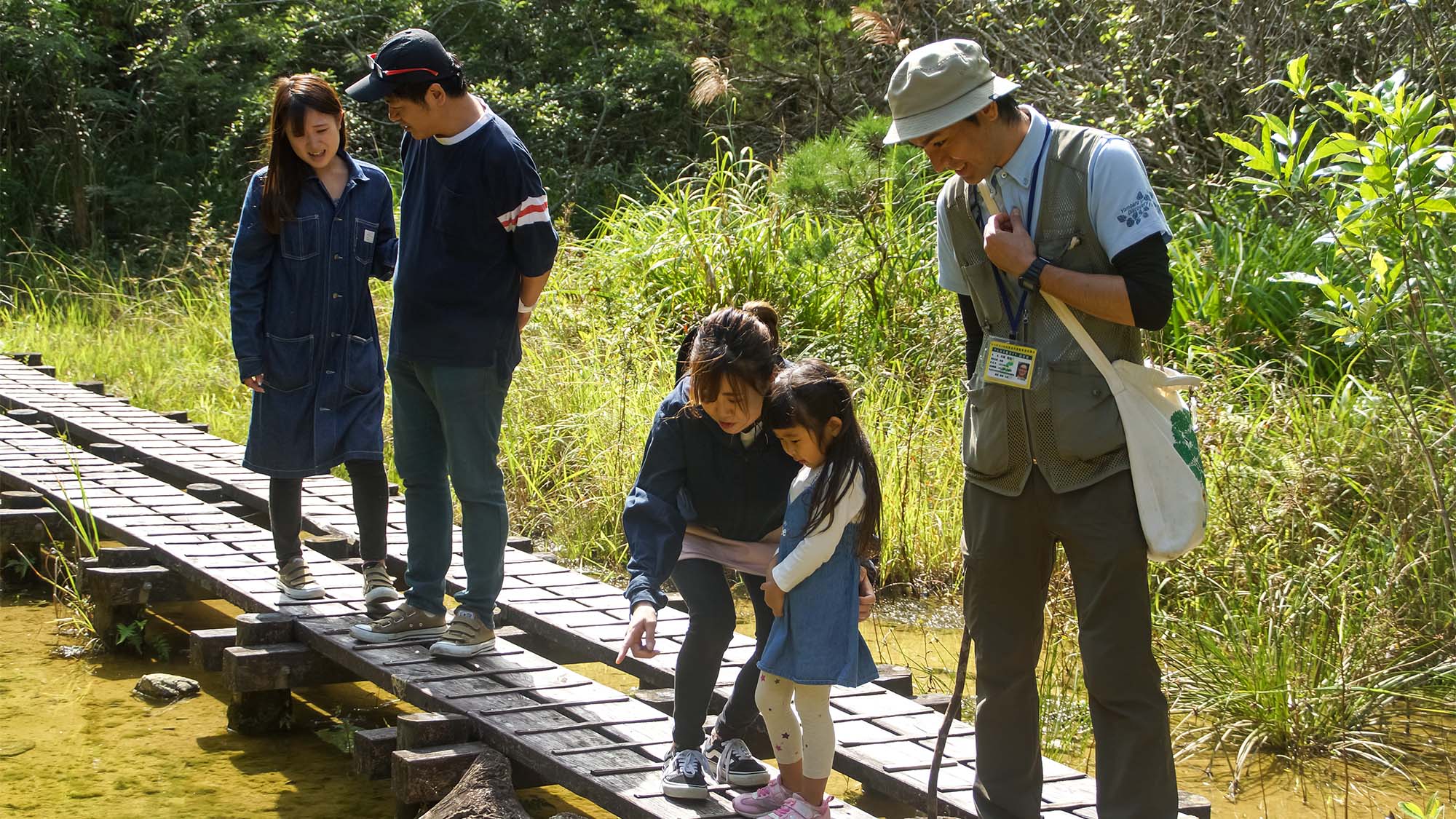 ・＜ガイドウォーク＞日本最大のシダ植物や大きなどんぐりなど出会えるかもしれません