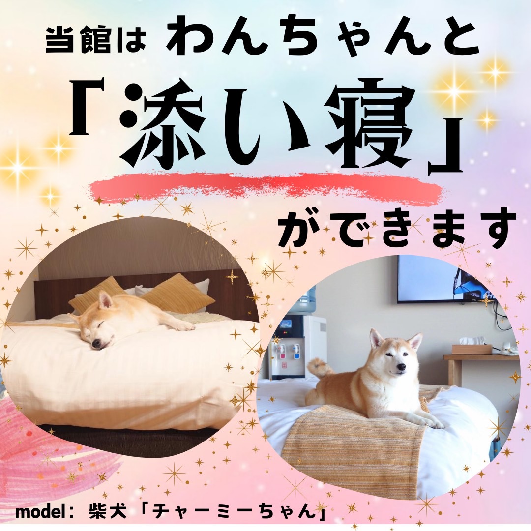 わんちゃんといっしょのお客様限定☆彡【素泊り】夜21時以降のチェックインOK♪
