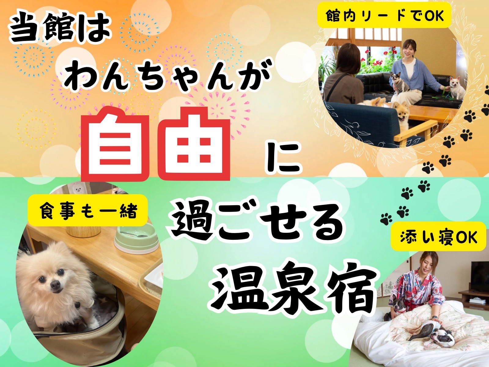 【1泊朝食】わんちゃんといっしょのお客様限定☆彡朝食は和膳＆ハーフバイキング付