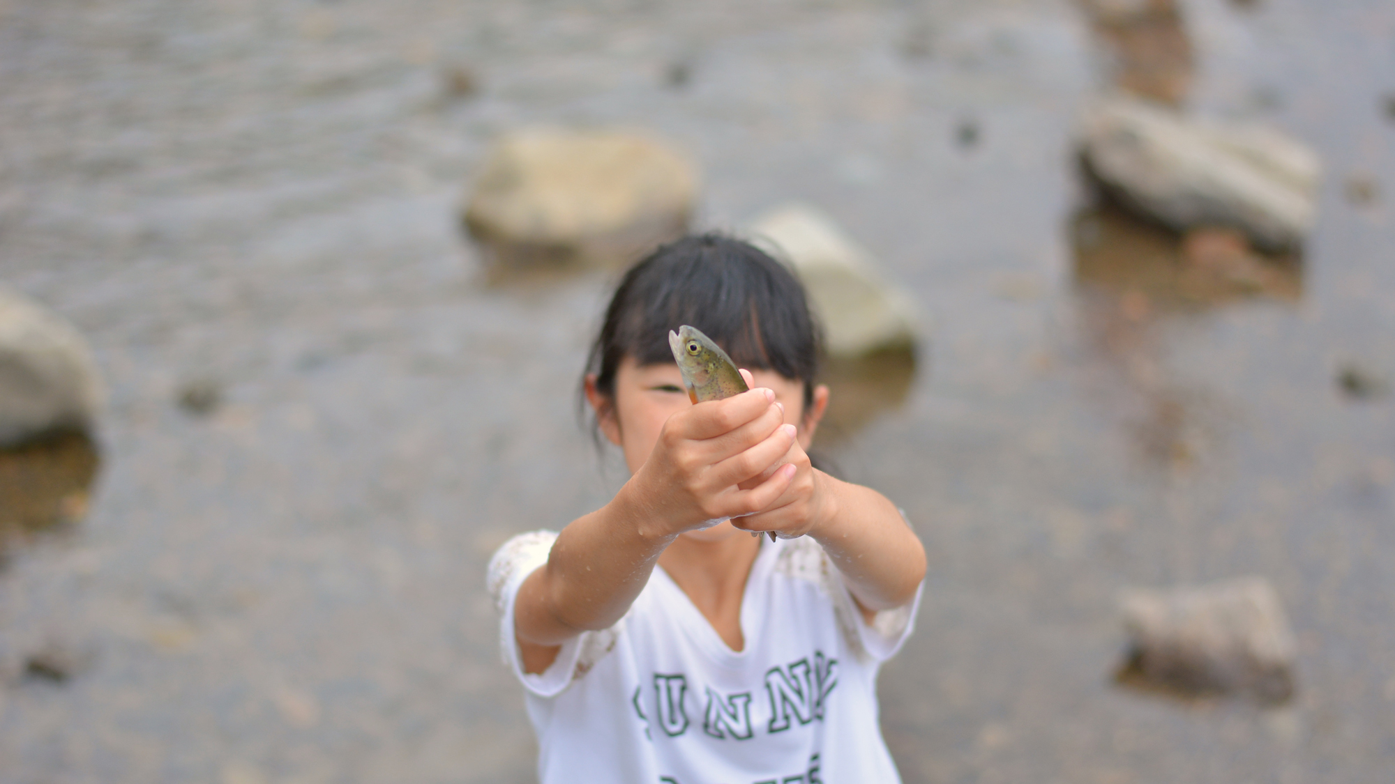 【林間学校】魚つかみ