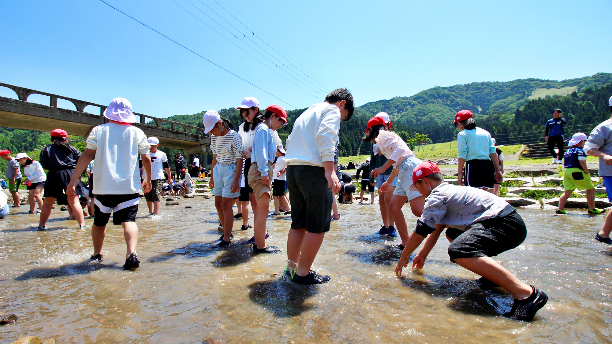 【体験】魚つかみ