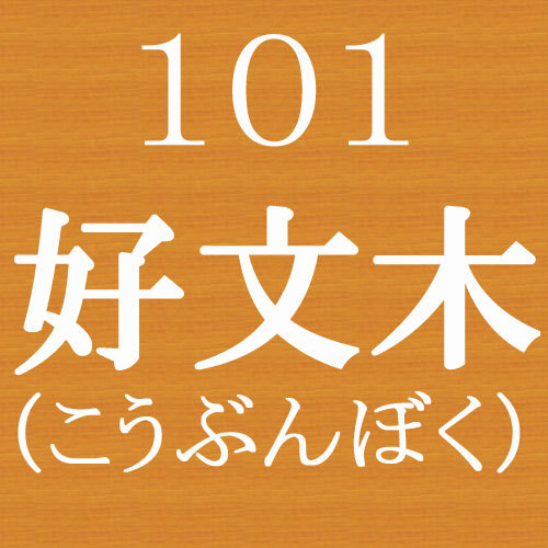 Room 101 Kobunboku