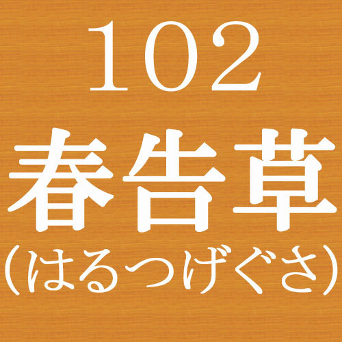 Room 102: Spring heraldry