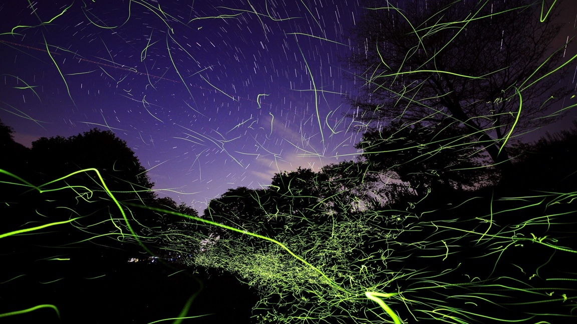 ≪朝食付≫送迎バスで行くホタル観賞プラン◇日本一のホタル【辰野ほたる祭り】入園券付（6/13〜21）