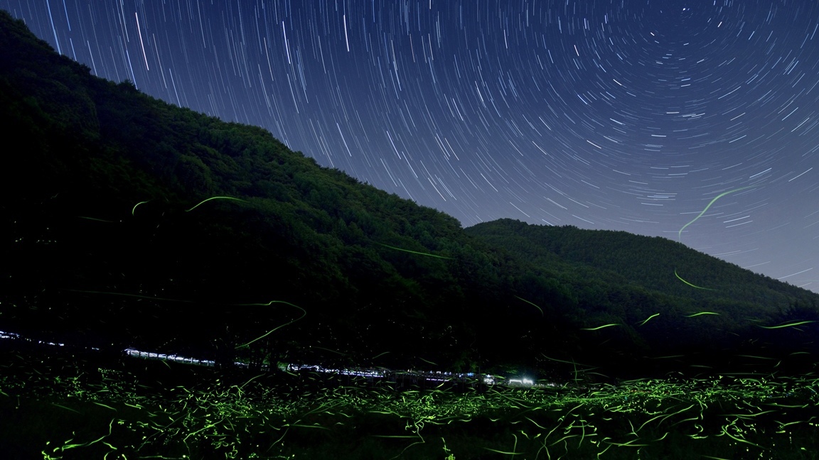 ≪朝食付≫送迎バスで行くホタル観賞プラン◇日本一のホタル【辰野ほたる祭り】入園券付（6/13〜21）