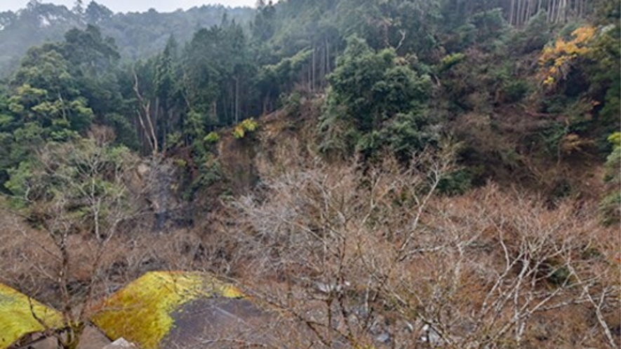 *【窓から】桜藤の花、新緑やホタル、高雄もみじの紅葉、高雄の山々の雪化粧が鑑賞出来ます。