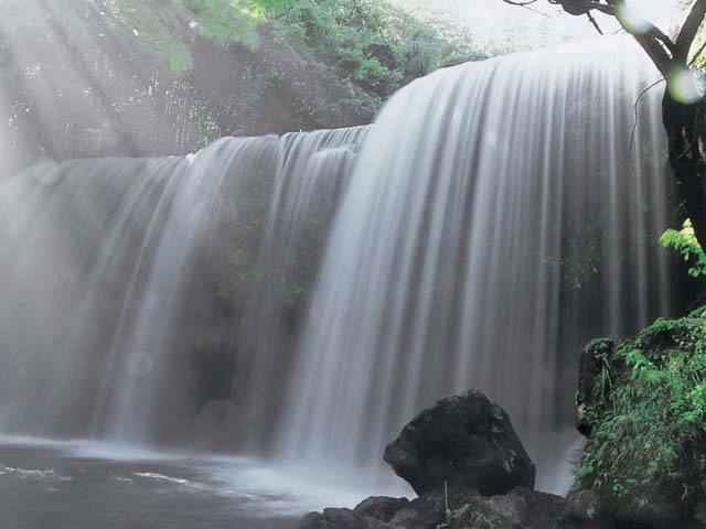 写真2