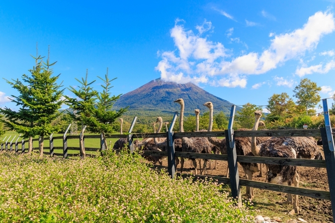 【ニセコ旅行★10％OFF♪】〜秋のご褒美★美食会席プラン〜＜現金特価＞
