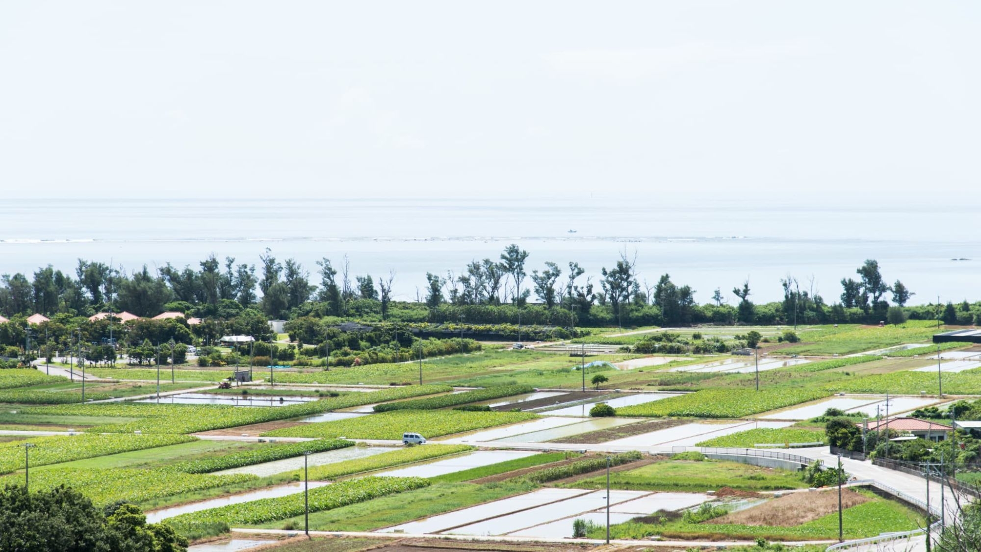 【農泊体験】のんびり田舎暮らしを楽しむ｜自然を味わう１泊3食付き満喫プラン