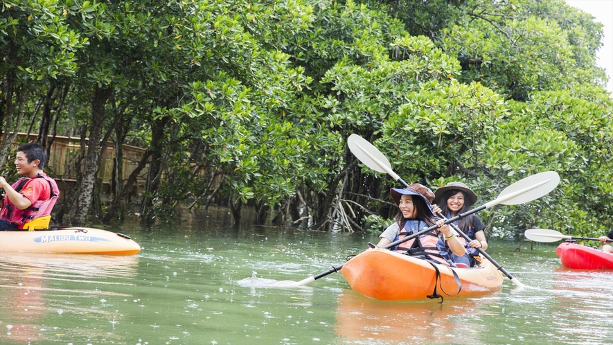 体験人気No1！億首川でマングローブ林をカヌーで軽やかに！