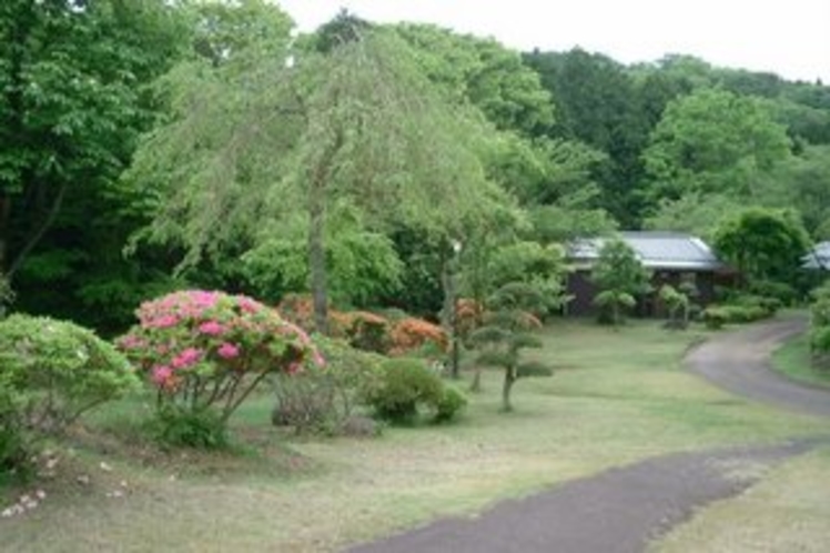 庭園