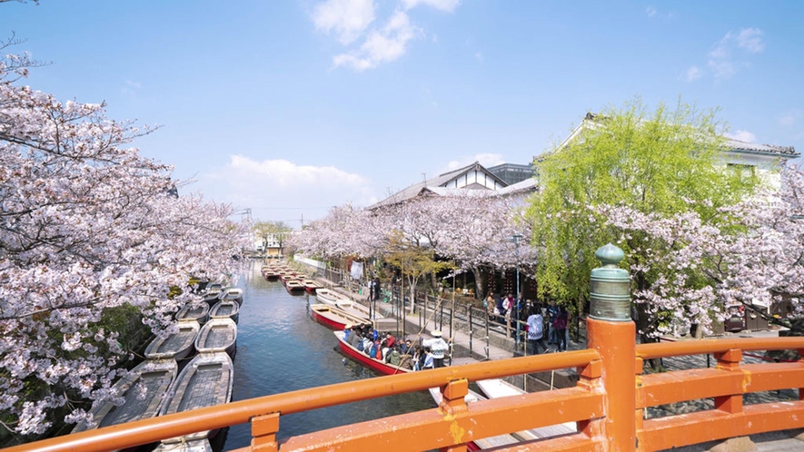 【柳川川下り】しだれ柳や四季の花々を船に乗りながら眺めます。当館より車で1時間15分 ／電車で2時間