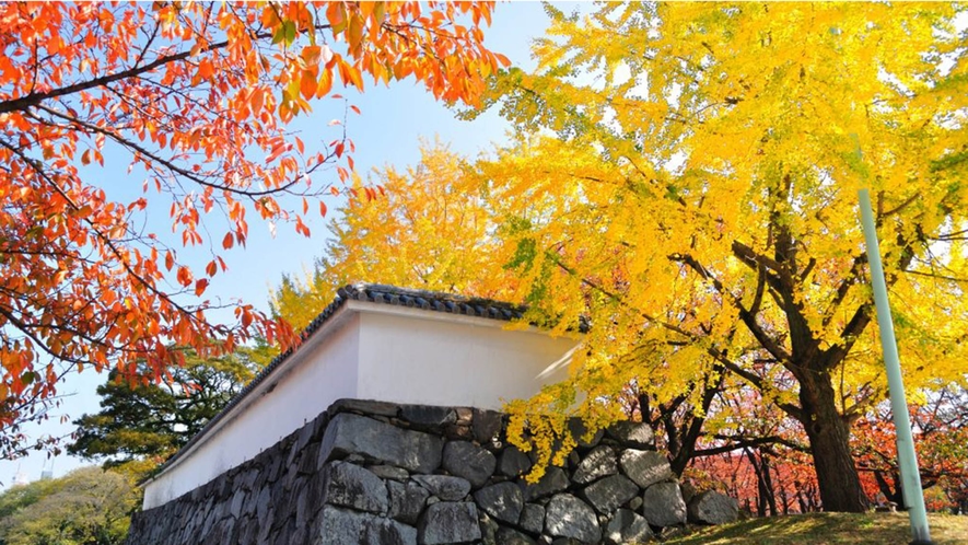 【福岡城跡】春は桜の名所、秋は紅葉の名所として人気のスポットに。当館より車で15分 ／電車で約20分