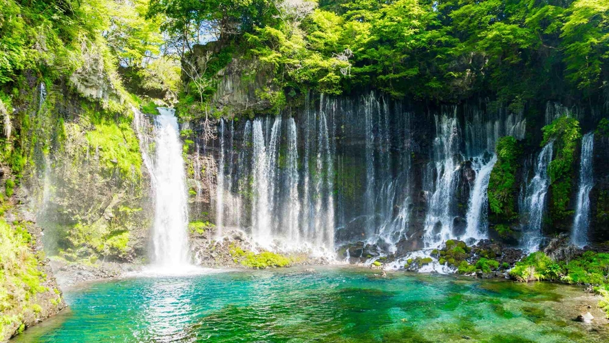 【白糸の滝】福岡県指定の名勝であります。当館より車で60分 ／電車で1時間30分程。