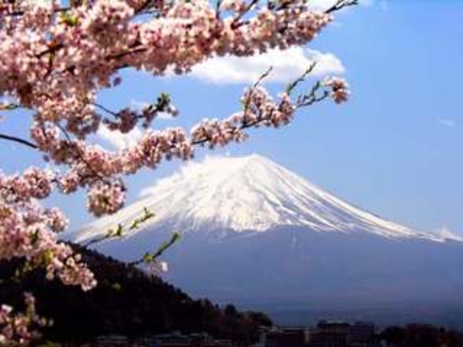 Mt Fuji 