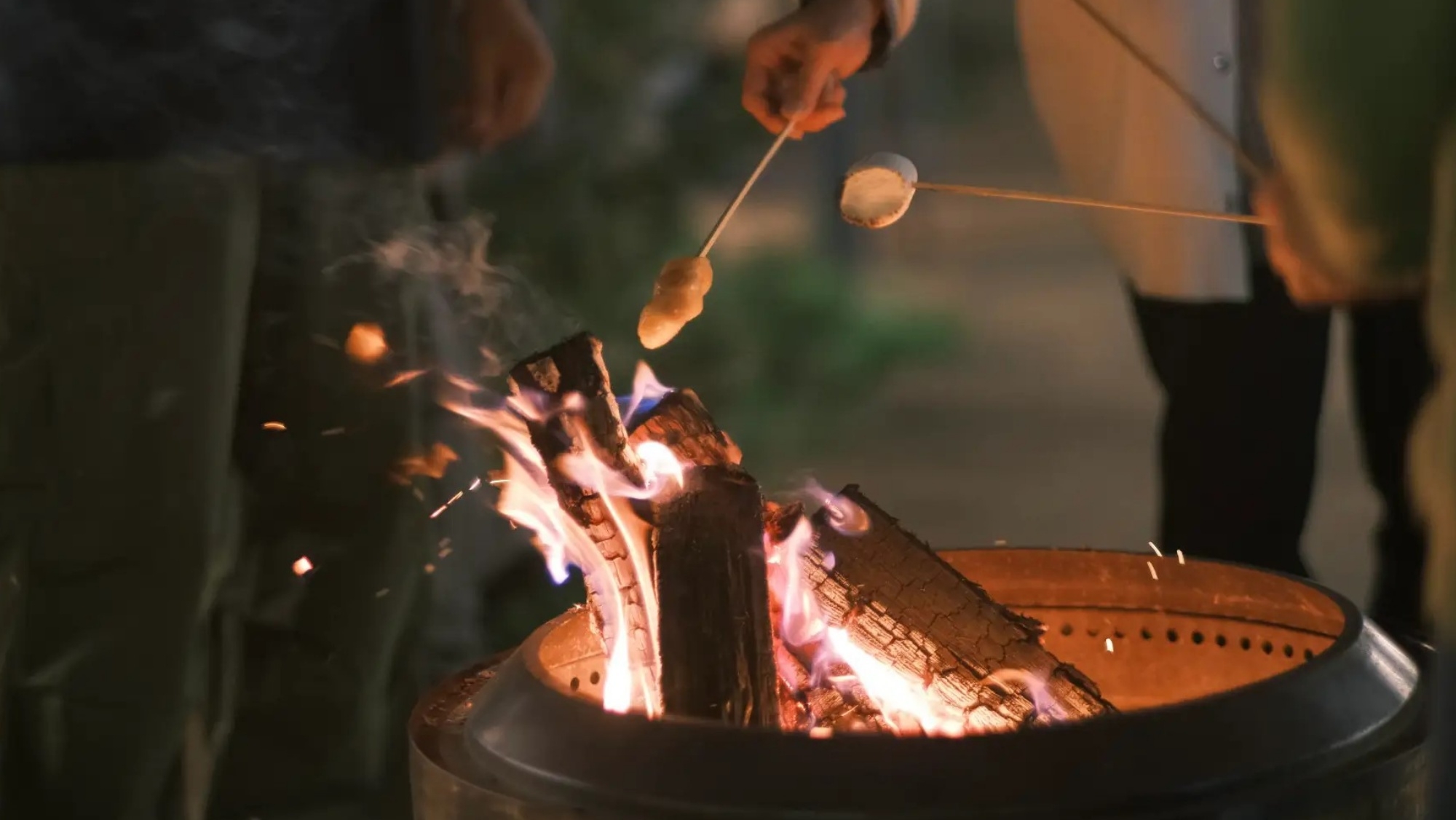 【いばらきフラワーパーク入園券付】澄んだ空気に映えるウィンターイルミネイト／素泊まり