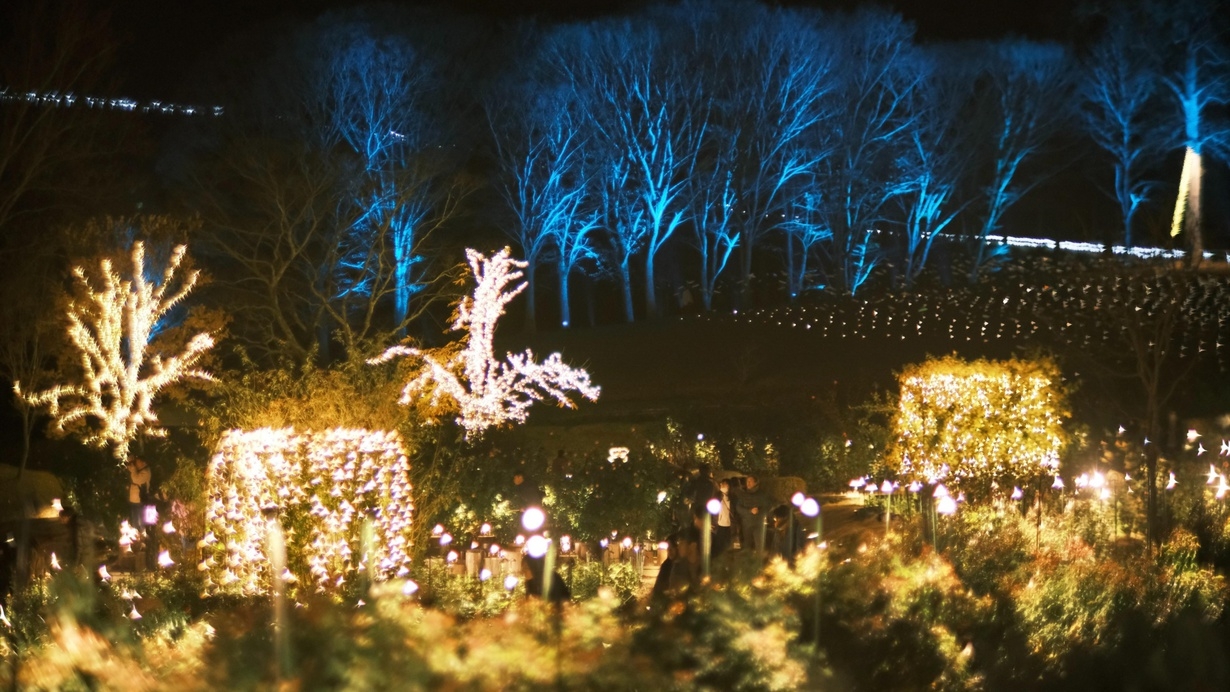 【いばらきフラワーパーク入園券付】澄んだ空気に映えるウィンターイルミネイト／素泊まり