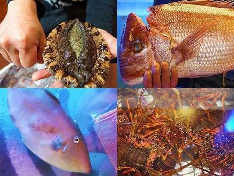 江の浦漁港で獲れた時季の海鮮をふんだんに