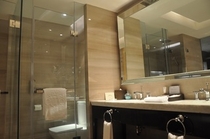 deluxe suite bathroom