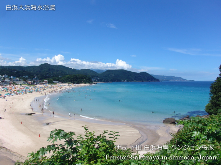 海の見えるペンション桜家 宿泊プラン一覧 楽天トラベル