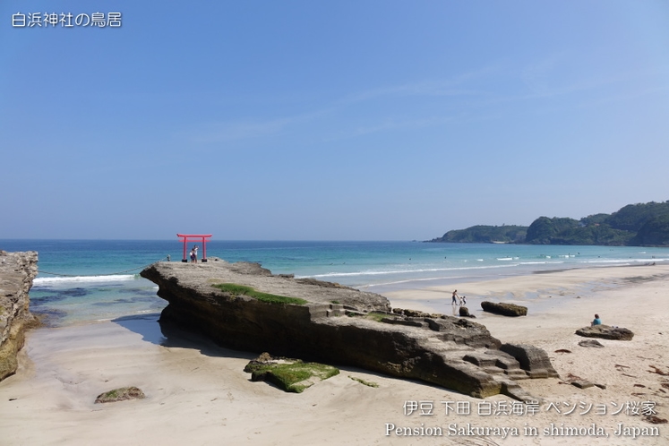 白浜海岸　白浜神社裏にて