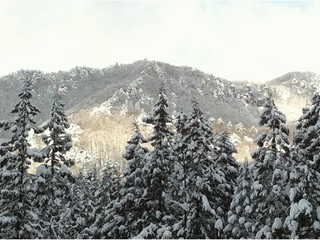 窓から見える瀧山