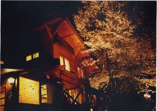 外観　（夜桜）