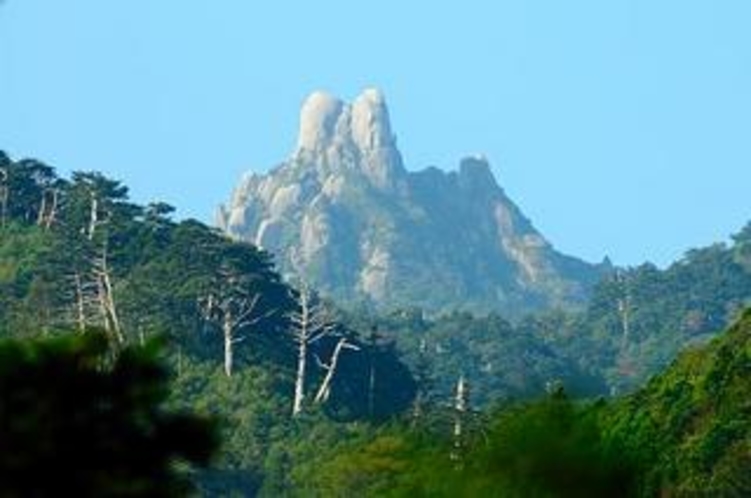 縄文杉登山道からの翁岳