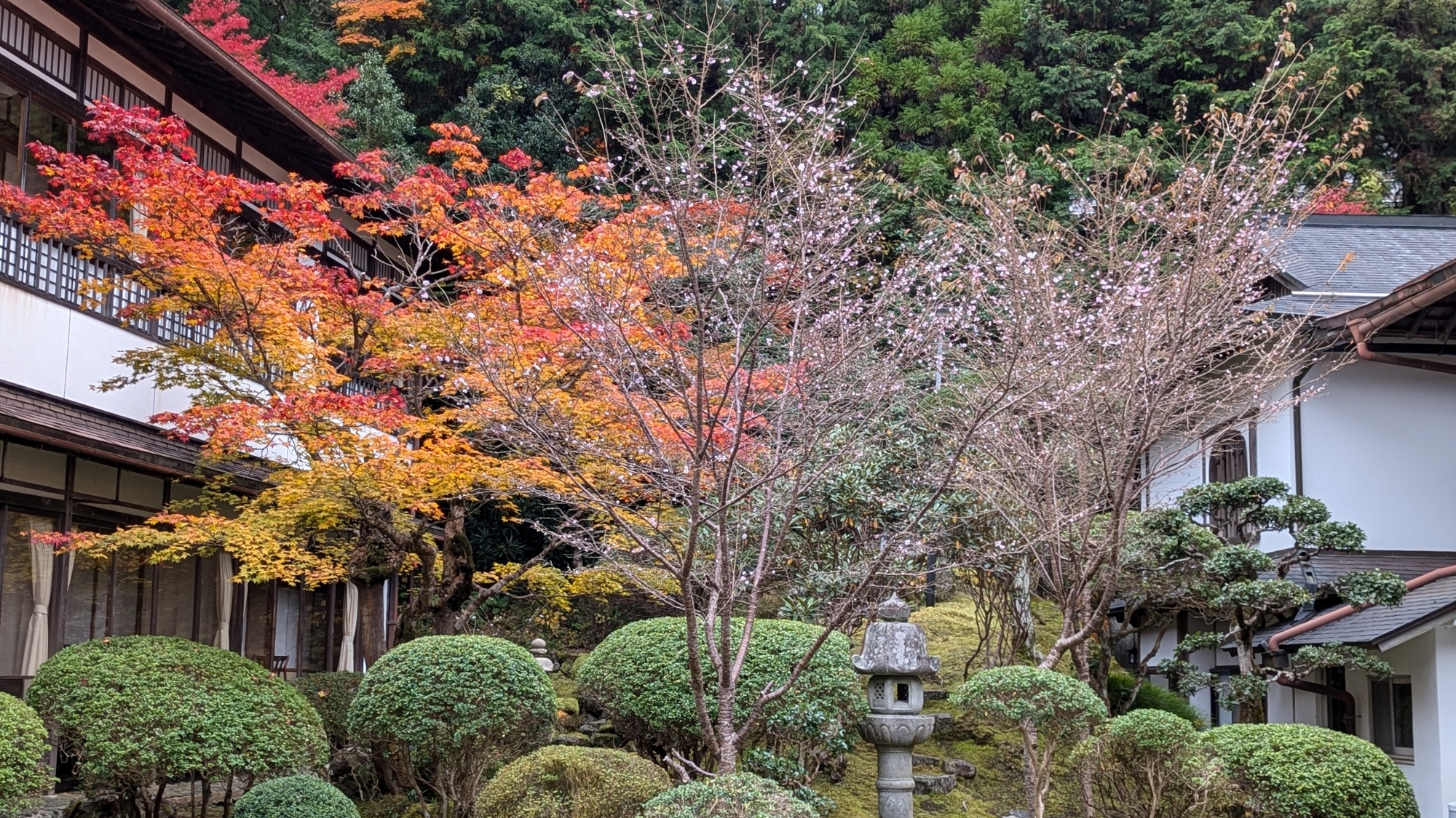 *中庭/四季の移ろいが美しい庭園（秋）