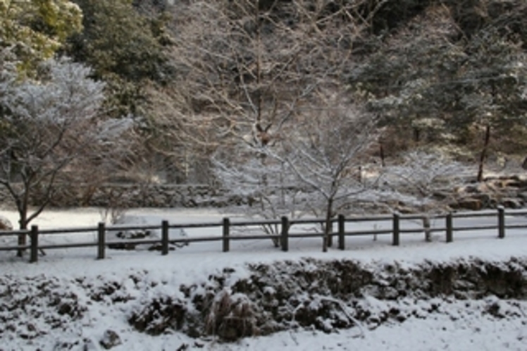 冬の景色1