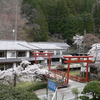 春の浪花館500