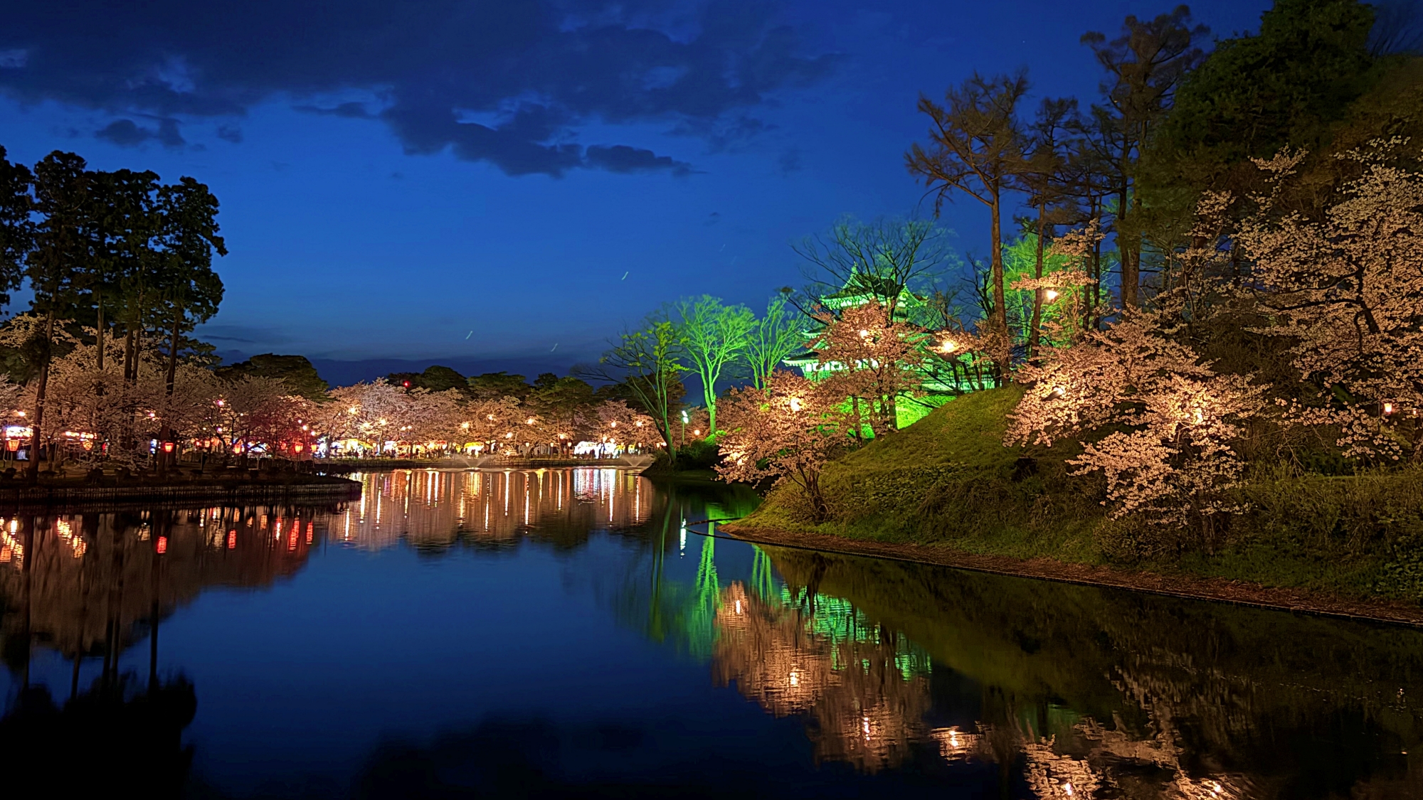 日本三大夜桜に数えられる「高田城址公園の夜桜」