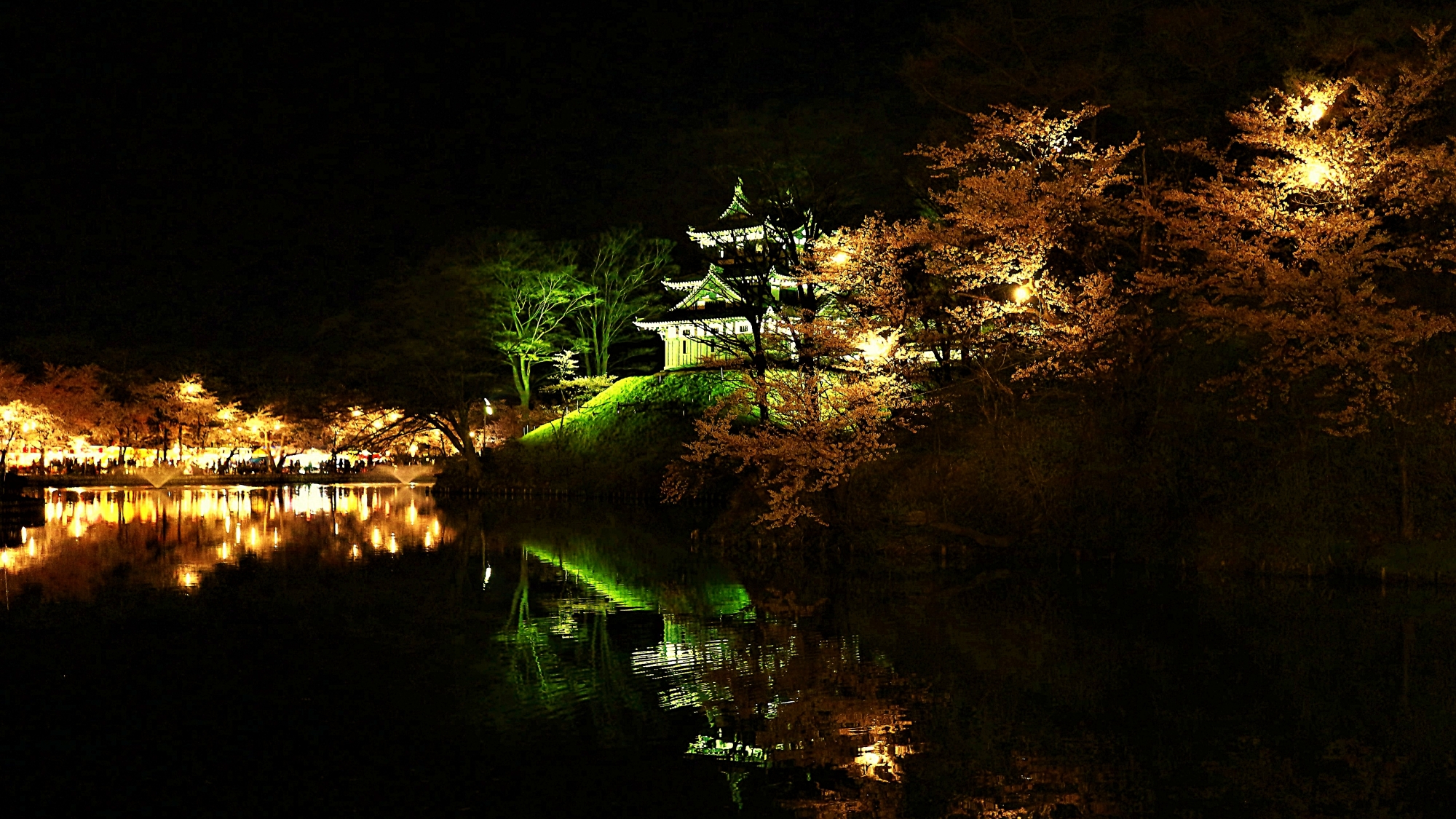 日本三大夜桜に数えられる「高田城址公園の夜桜」