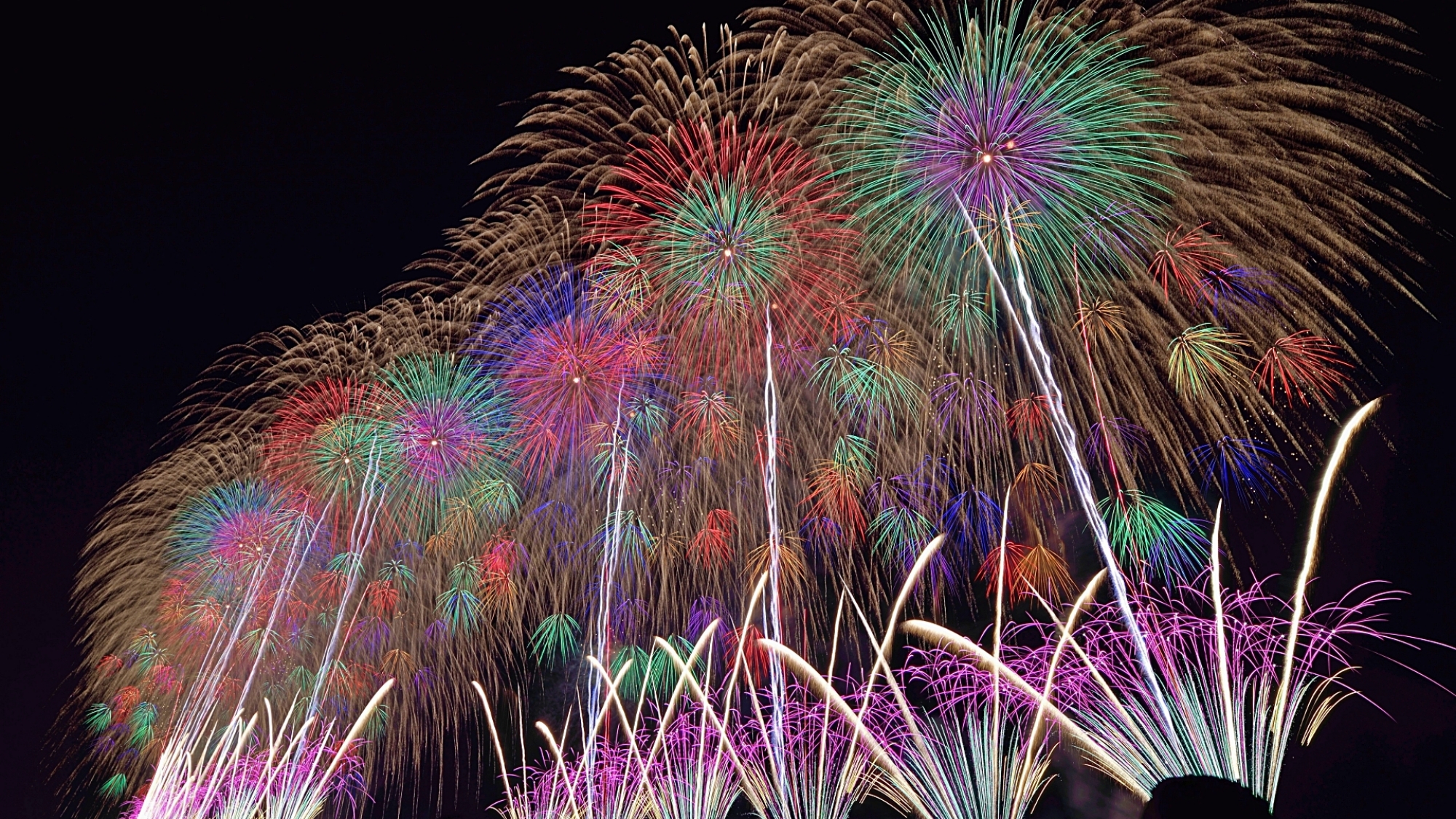 日本三大花火【長岡花火】を観に行こう！