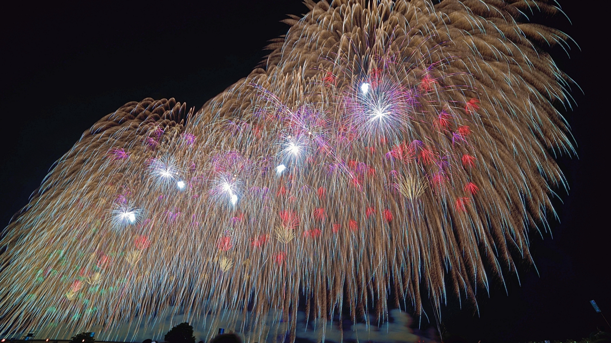 日本三大花火【長岡花火】を観に行こう！