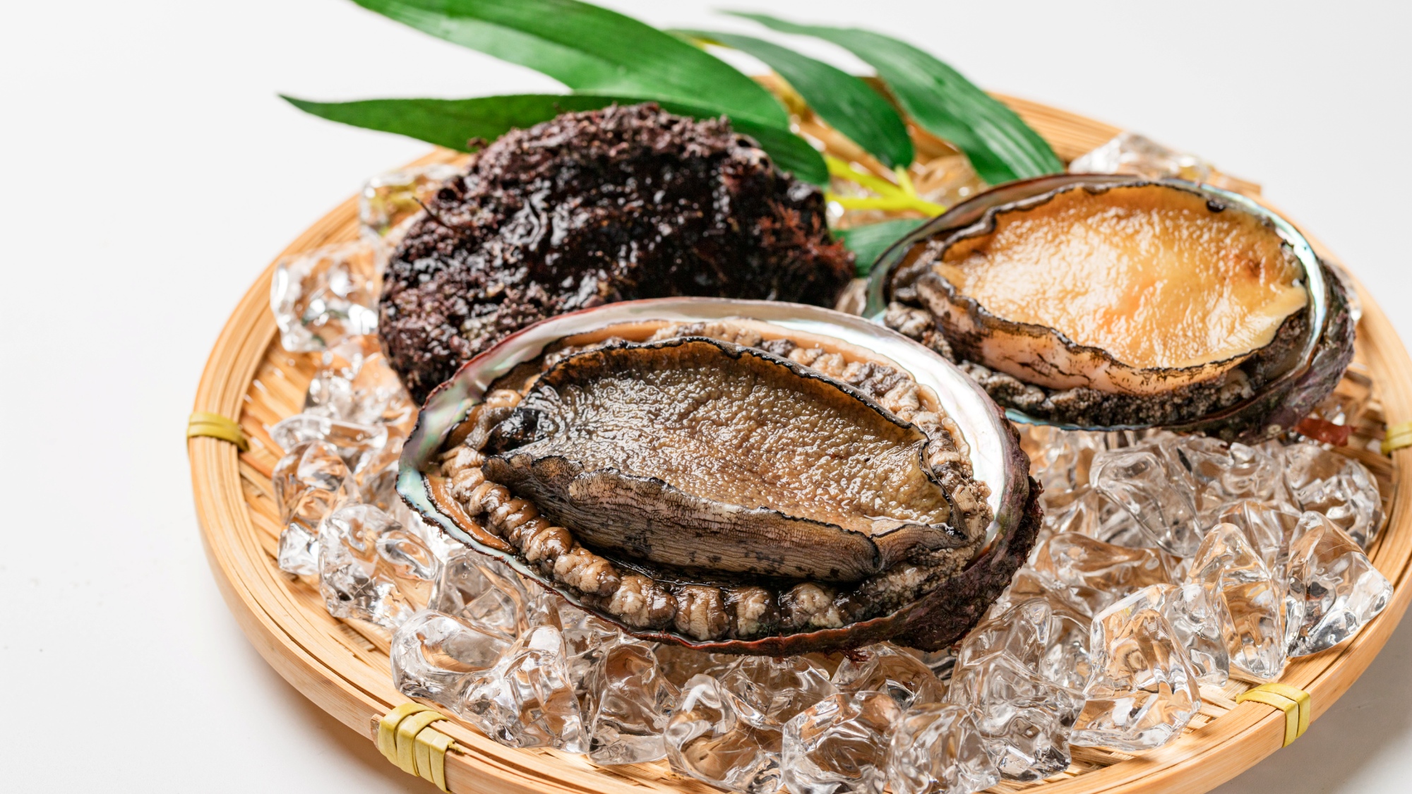 新鮮！希少な能登産の天然アワビを食べられます　※写真はイメージです