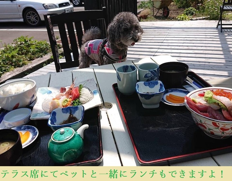 【ペット同伴OK】【鮮度抜群】豪華刺身盛り合わせ＋イクラ小鉢付き