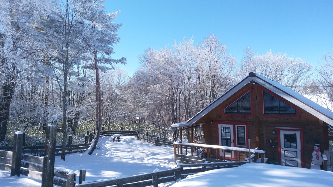 超お得な3泊はコチラ【家族同室】【ファミリー】OUT16:00わんこと雪山を満喫！冬の3連泊プラン