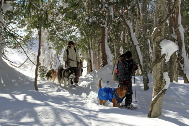 超お得な3泊はコチラ【家族同室】【ファミリー】OUT16:00わんこと雪山を満喫！冬の3連泊プラン
