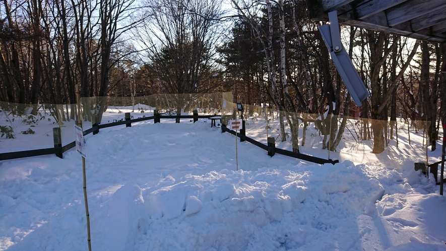 ”冬でも雪でもドッグラン”②