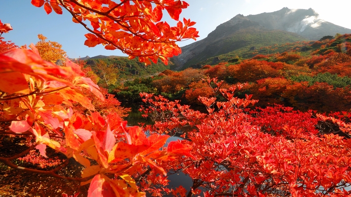期間限定★塩原高原大根キャンペーン★できたてアッツアツ角煮大根で塩原の旬を味わう…