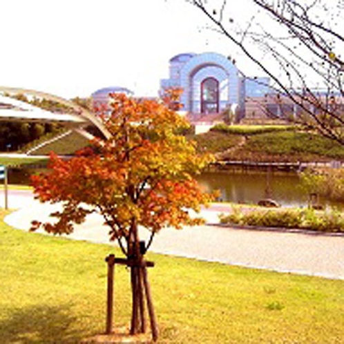 【秋】当館は大型の公園「あいち健康の森公園」の敷地内にございます。