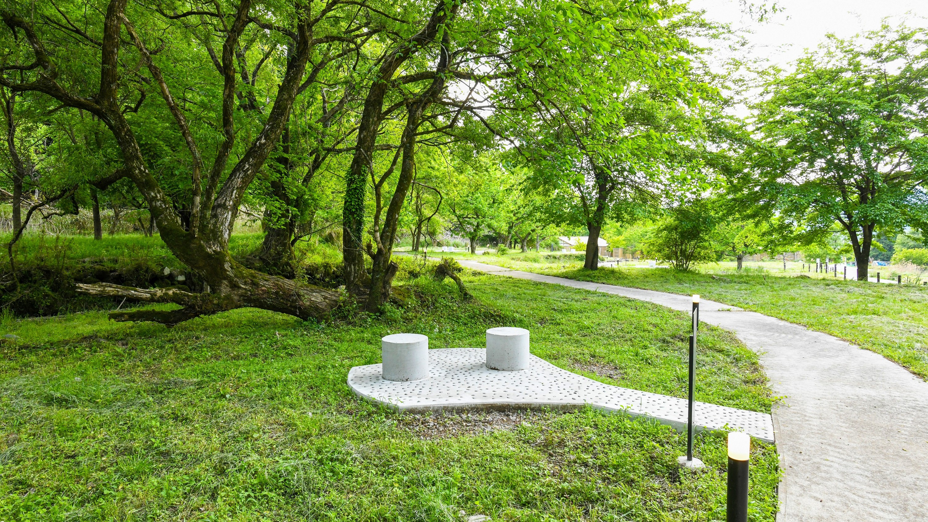 奥ノ院　コロボックルの公園