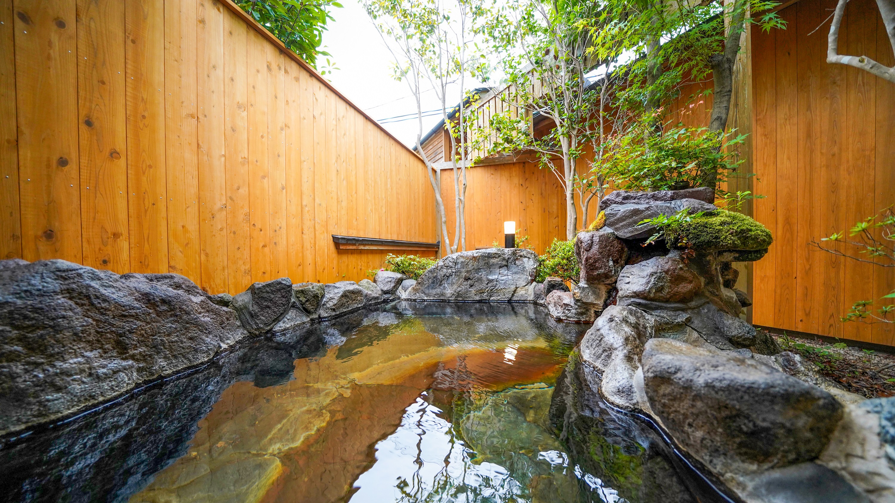 客室「わかば庵」