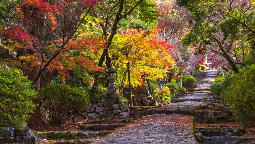 *【周辺】秋の英彦山参道